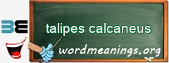 WordMeaning blackboard for talipes calcaneus